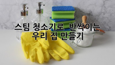 ✨ 스팀 청소기로 ✨ 반짝이는 우리 집 만들기! 🏡